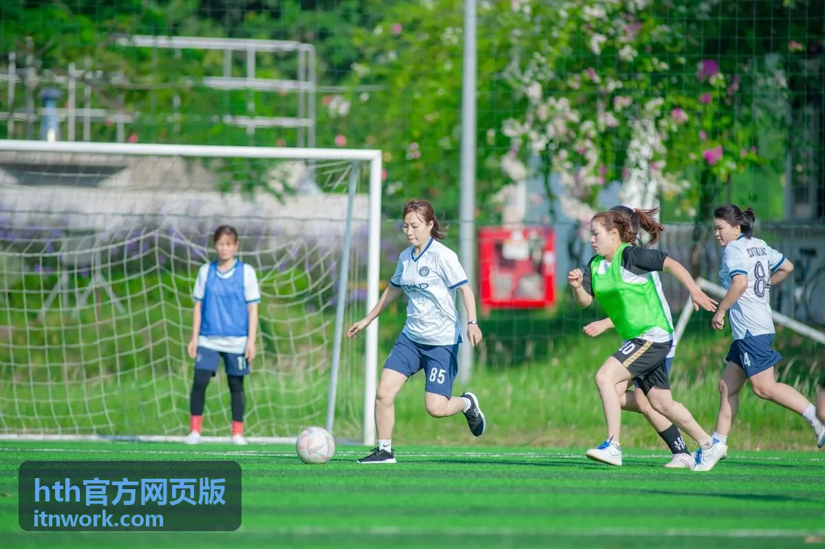 hth官方网页版功能与版本入口